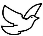 birdn2012.jpg