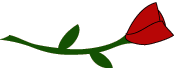 dn2010rose.gif